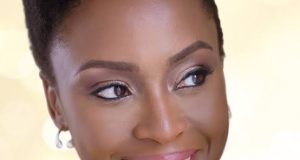 Anambra state govt hails Chimamanda Adichie