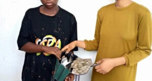 Female poly students, widow, others arrested as NDLEA seizes drugs in Abuja hotel, Lagos, Edo and Kaduna