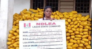 Three women arrested by NDLEA, 972.5kg parcels of cannabis, 721 ampoules of pentazocine injection intercepted