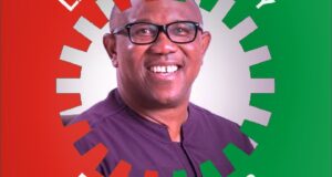 Peter Obi, LP file 50 grounds of appeal at Supreme Court
