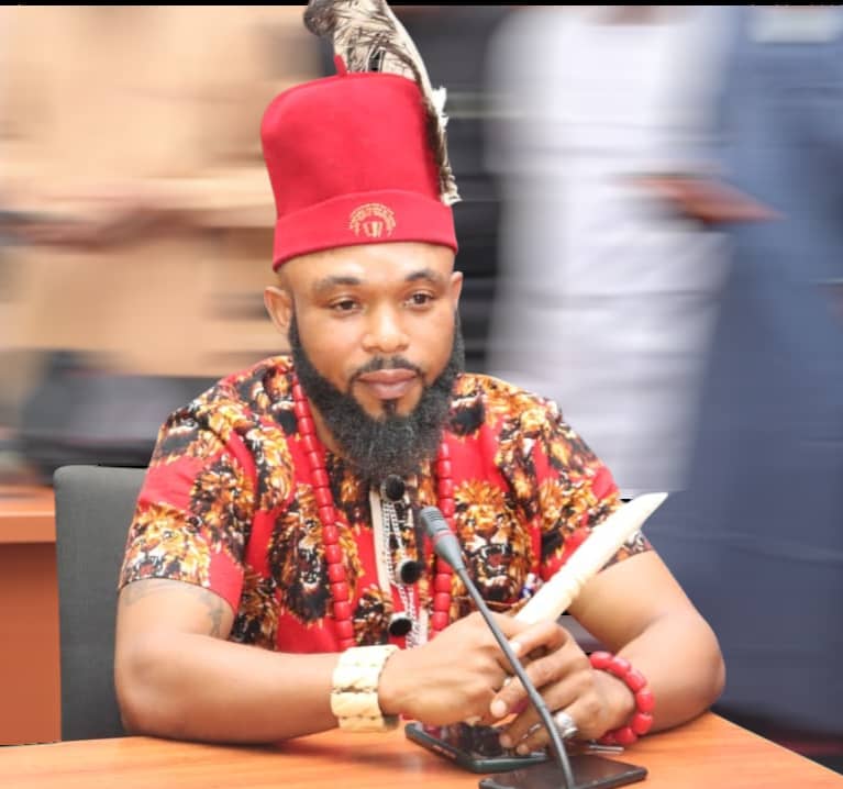 Igbo Youth Day 2025: Ndigbo Youth Parliament urges governors to prioritize security & human capital development, appeals for Nnamdi Kanu’s release