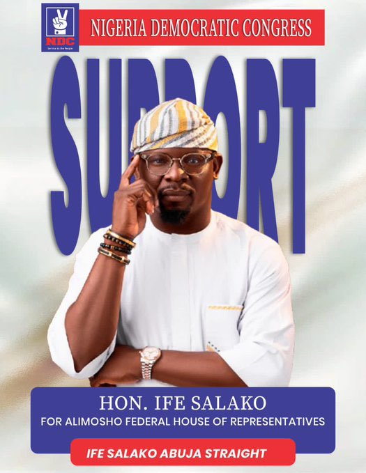Alimosho Stakeholders accuse NDC of replacing House of Reps Candidate Ife Salako who got 634 votes