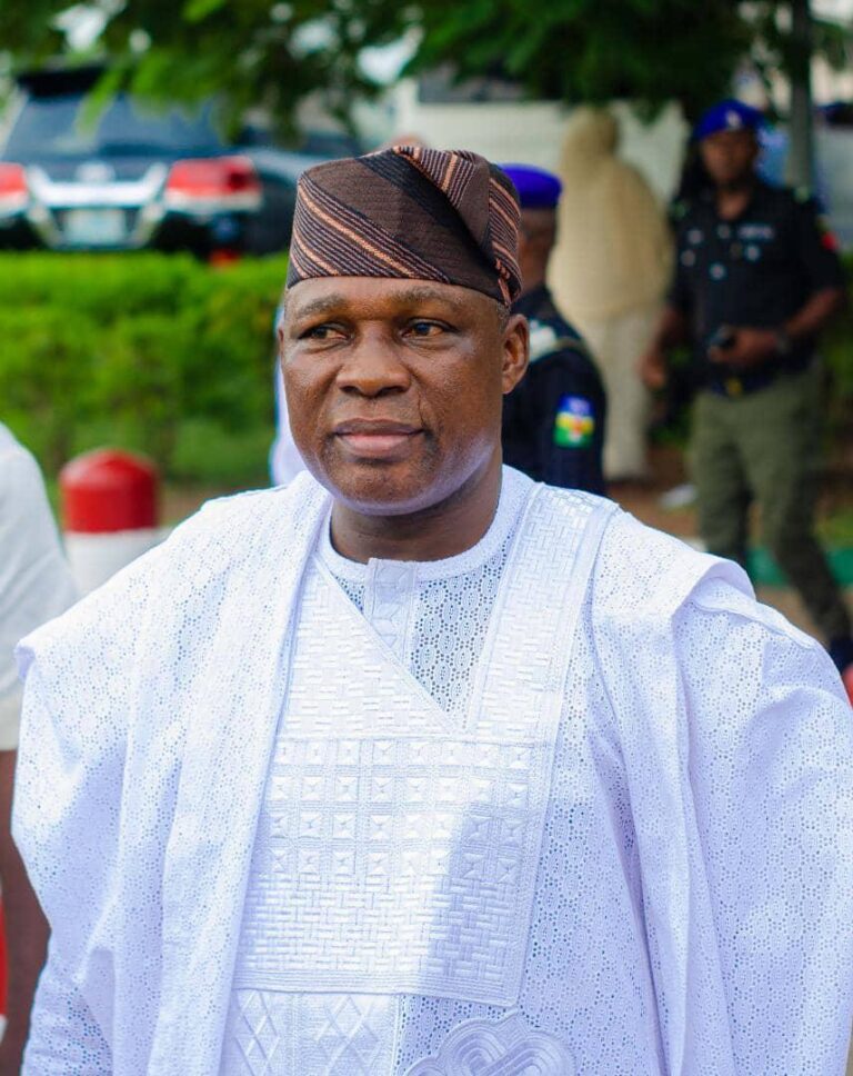 Oyewumi: Osun apc ‘terrible political babies’, state nearly run by two governors