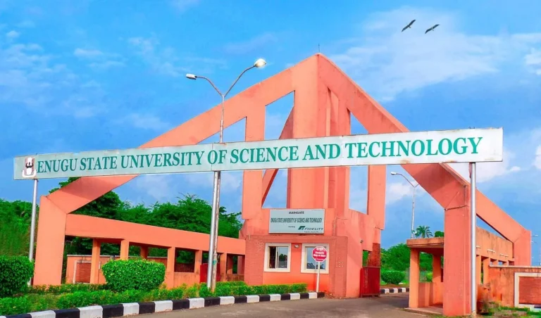 Enugu govt approves N82,000 minimum wage for ESUT staff
