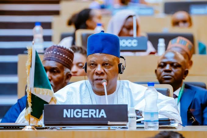 Xenophobic attack: We’ll no longer tolerate dehumanization of our citizens – VP Shettima