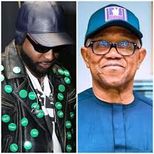 Only Peter Obi can exlplain source of wealth, none of the can try it – Davido challenges politicians